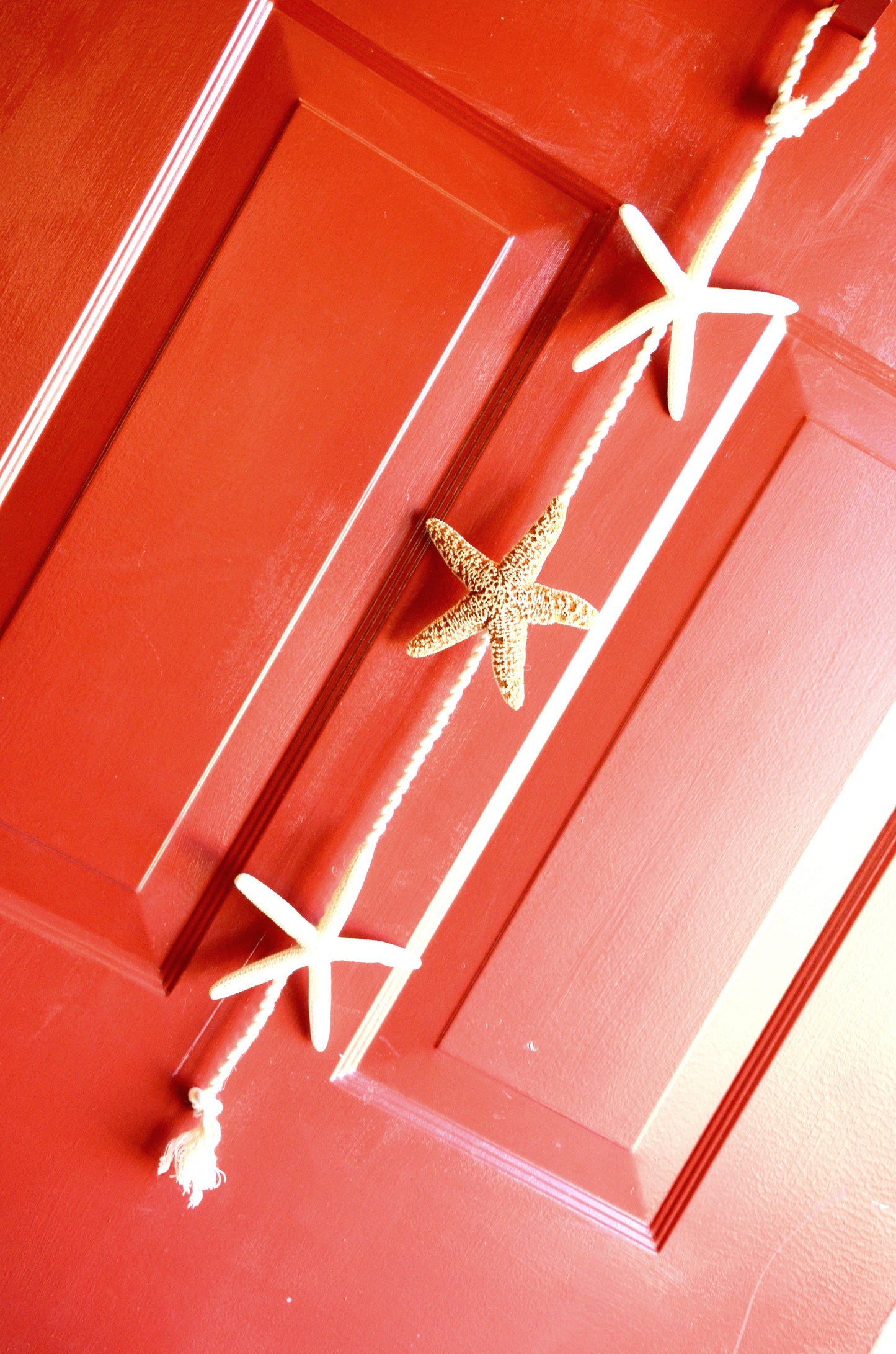 Beachy Wall Decorations, Christmas Door Hanger, Beach Housewarming Gift, Beach Theme Decor, Farmhouse Wall Accent, starfish Lake House Decor