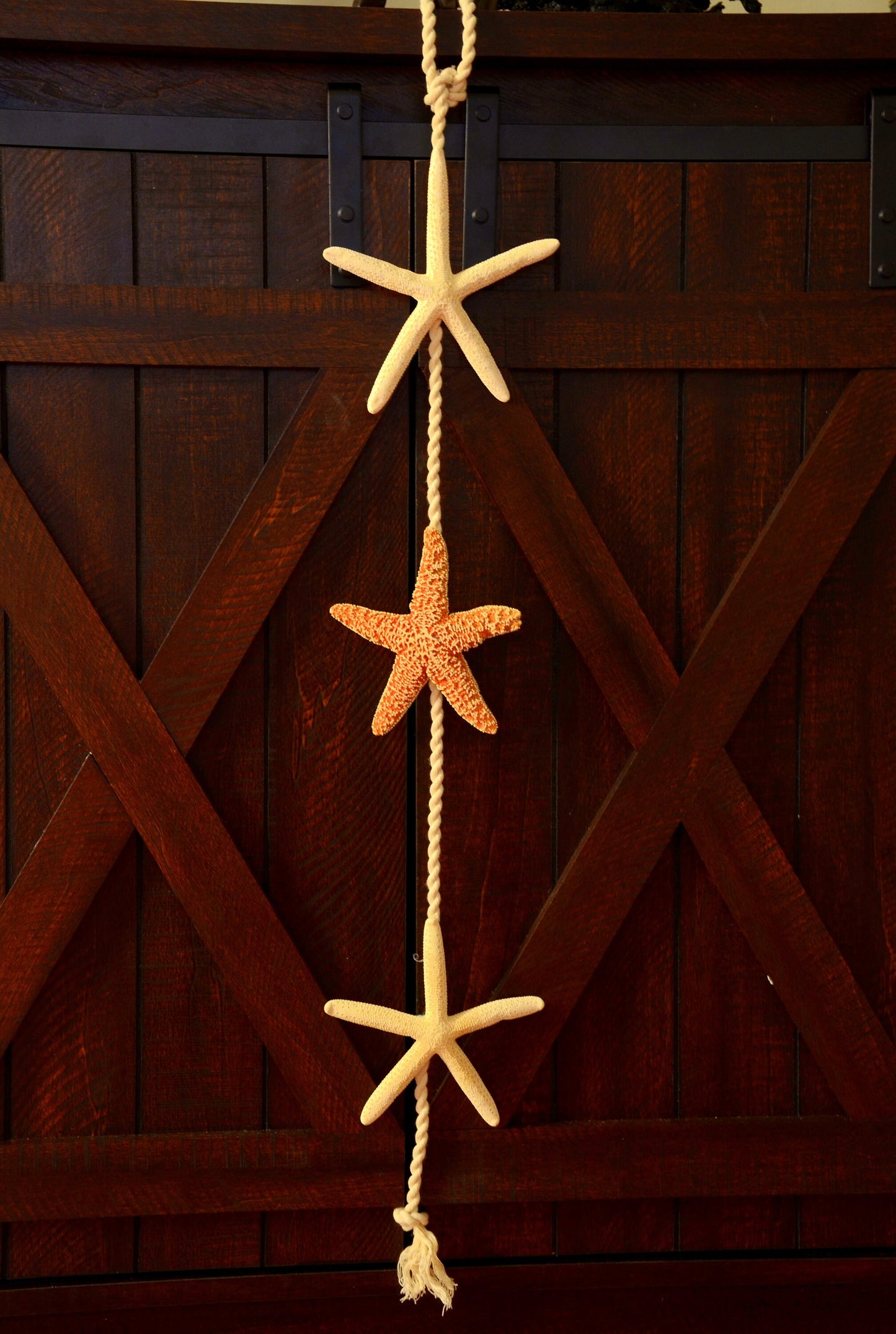 Beachy Wall Decorations, Christmas Door Hanger, Beach Housewarming Gift, Beach Theme Decor, Farmhouse Wall Accent, starfish Lake House Decor