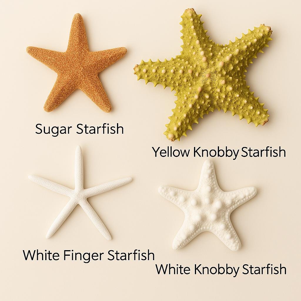 Starfish Raffia Chair Hanger, Beach Wedding Pew Decor, Summer Aisle Markers, Destination Wedding Decorations, Coastal Ceremony Decor