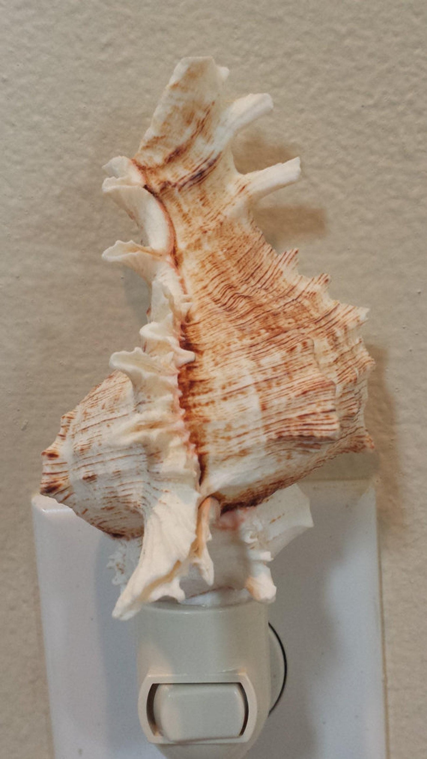 Seashell Night Light, Murex Shell Lamp, Beach Bathroom Light, Coastal Bedroom Night Lamp, Ocean Decor, Nautical Sea Shell Light, Nautical