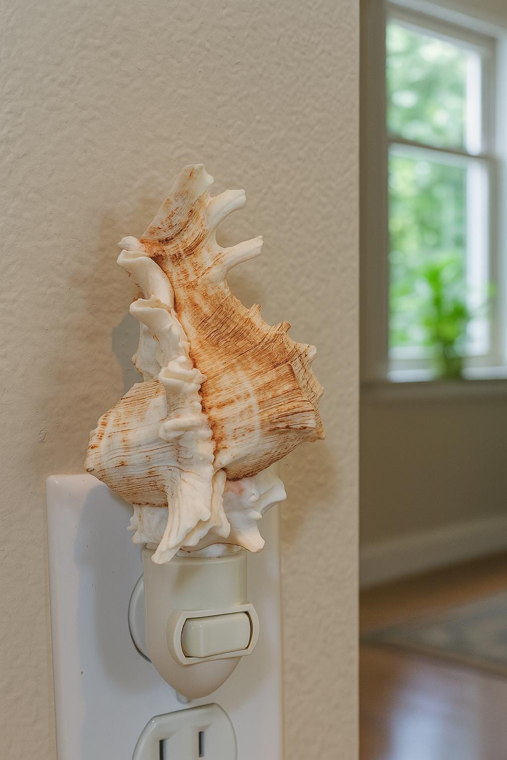 Bathroom light, shell lamp, night light lamp, bedroom light, Decorative Beach Decor, Seashell Night Light, Murex night lamp, Sea Shell Light