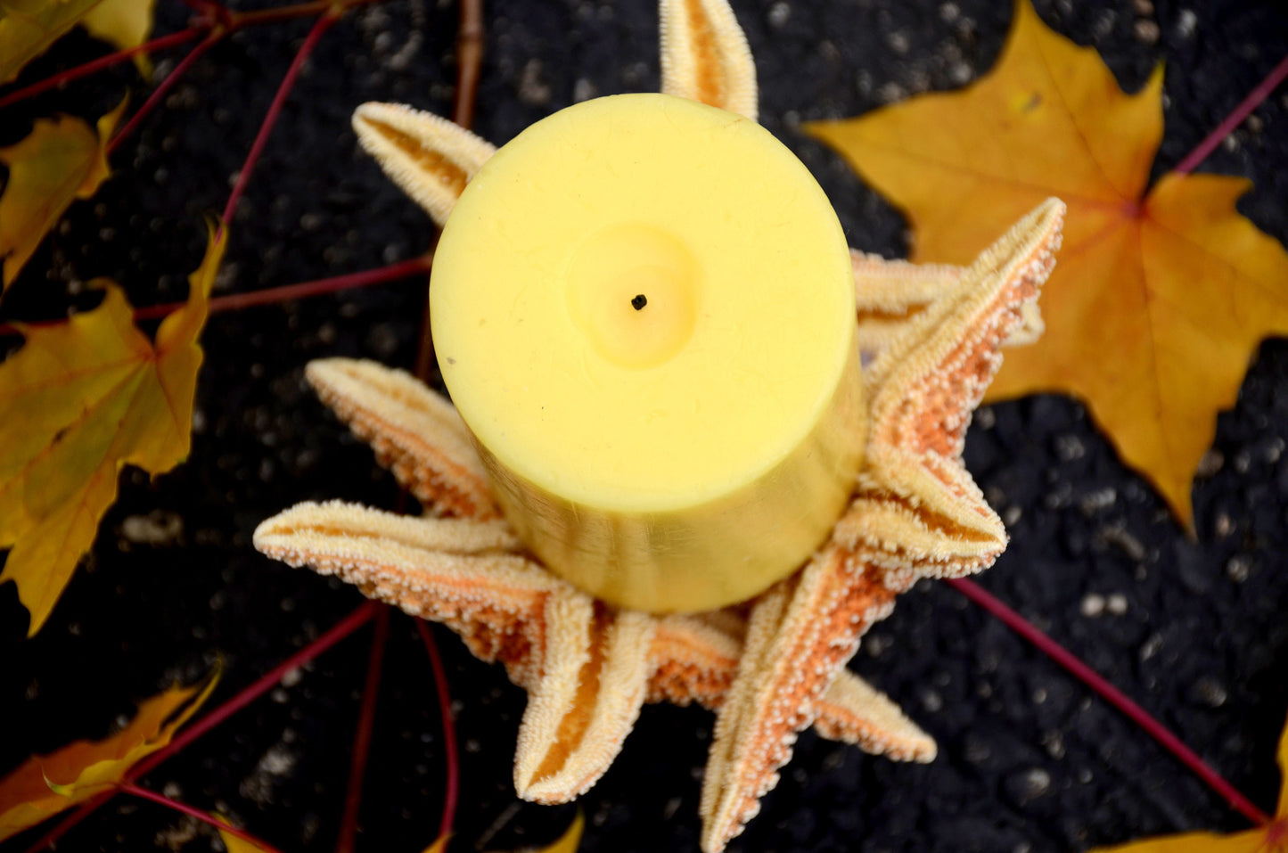 Farmhouse table decor, wedding table centerpiece, Starfish Candle Holder, Nautical Centerpiece, Beach Wedding Candle, Thanksgiving Decor