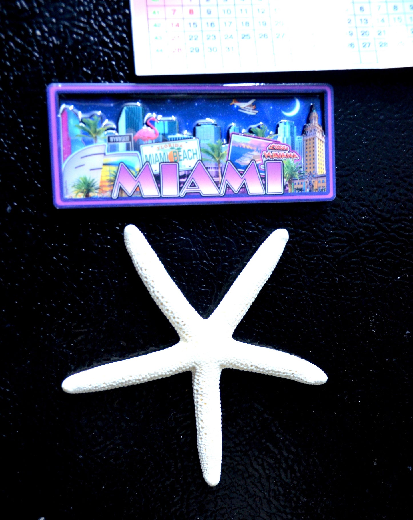 Beach Wedding Favor – Starfish Magnet, Coastal Fridge Decor, Nautical Bridal Shower Gift, Starfish Kitchen Magnet