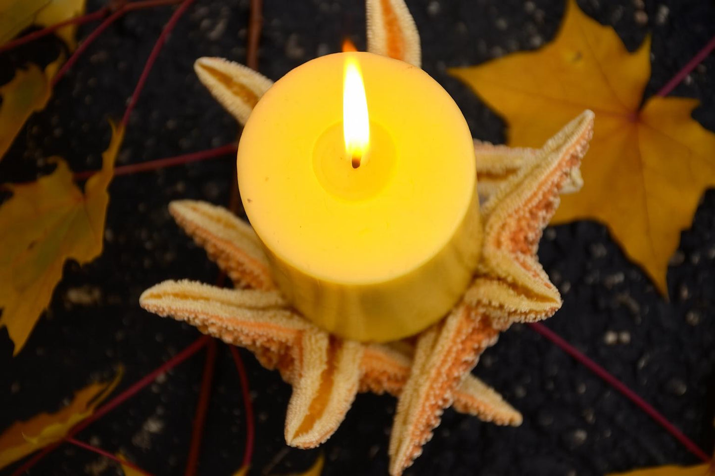 Farmhouse table decor, wedding table centerpiece, Starfish Candle Holder, Nautical Centerpiece, Beach Wedding Candle, Thanksgiving Decor