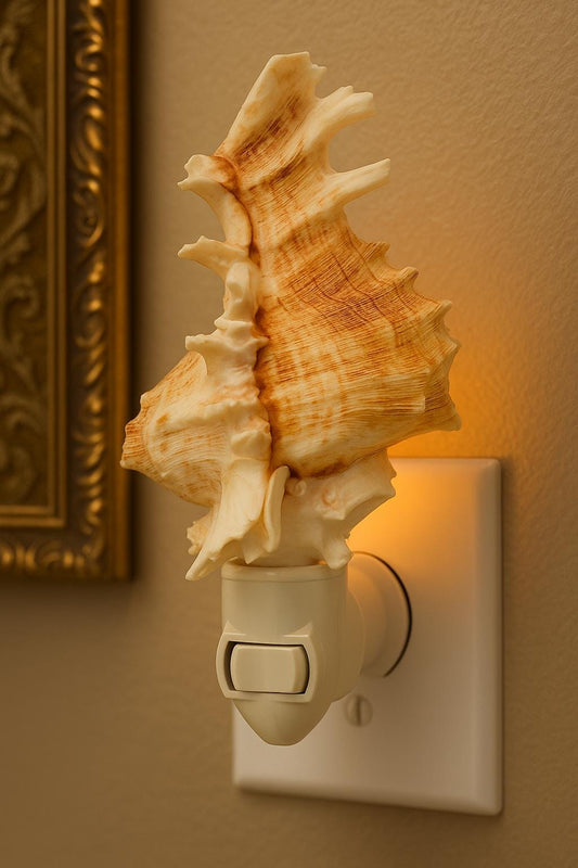 Bathroom light, shell lamp, night light lamp, bedroom light, Decorative Beach Decor, Seashell Night Light, Murex night lamp, Sea Shell Light