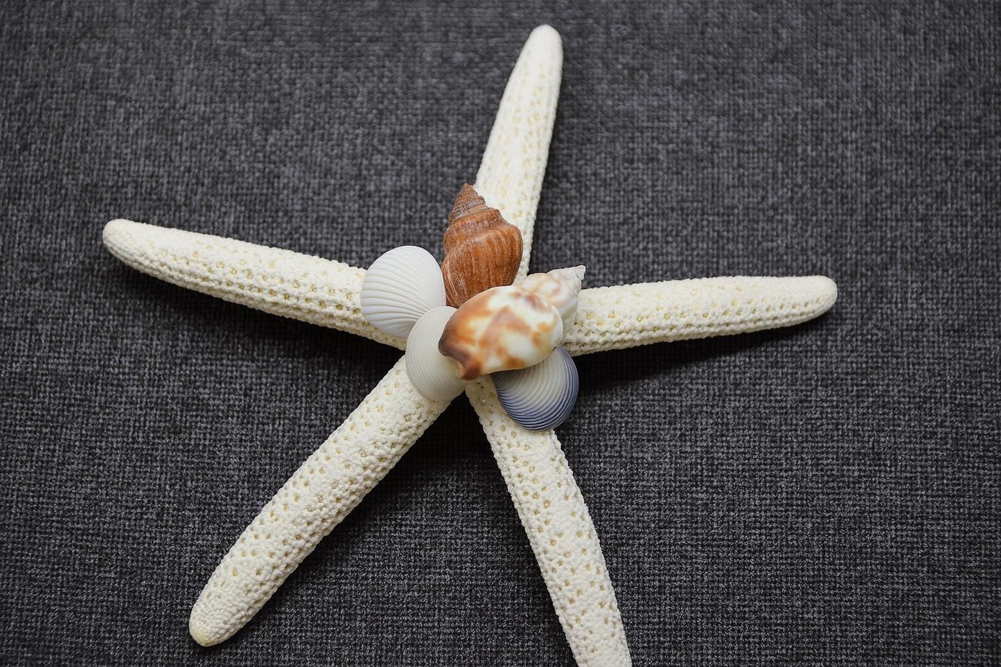Beach Wedding Favor – Starfish Magnet, Coastal Fridge Decor, Nautical Bridal Shower Gift, Starfish Kitchen Magnet
