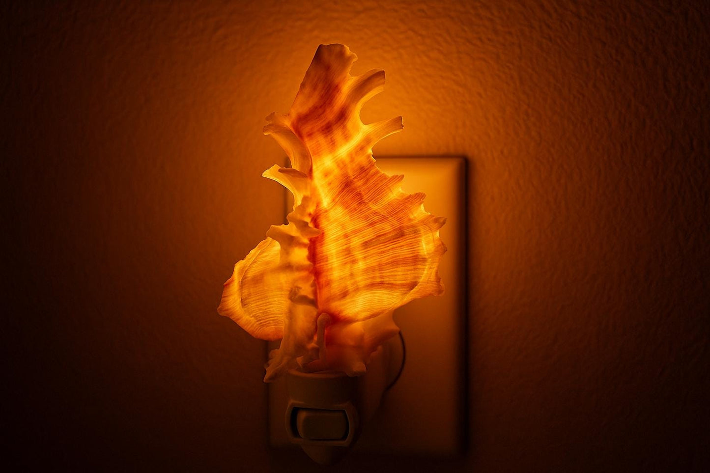 Bathroom light, shell lamp, night light lamp, bedroom light, Decorative Beach Decor, Seashell Night Light, Murex night lamp, Sea Shell Light
